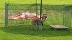 Hondenren voor buiten., Dieren en Toebehoren, Honden-accessoires, Ophalen