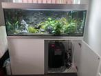 Compleet Aquarium + Eheim Professional 3 + CO2 Reactor Pro, Ophalen, Gebruikt, Gevuld zoetwateraquarium