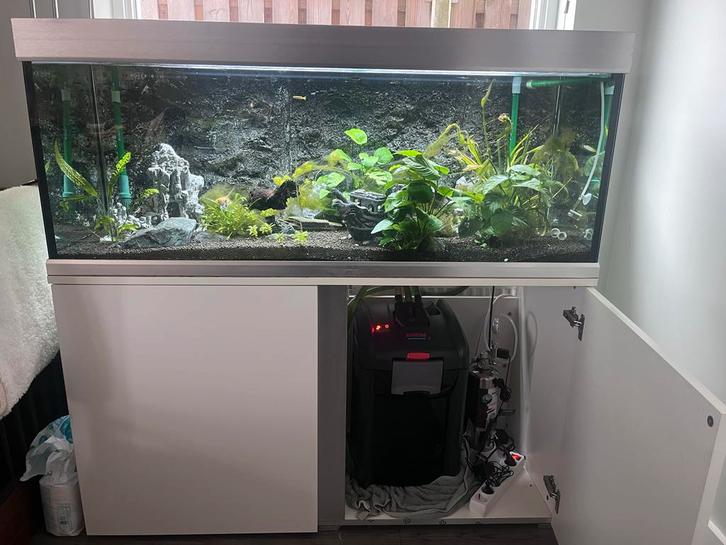 Compleet Aquarium + Eheim Professional 3 + CO2 Reactor Pro, Dieren en Toebehoren, Vissen | Aquaria en Toebehoren, Gebruikt, Gevuld zoetwateraquarium