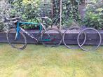 Bulls Harrier maat 56, Gebruikt, Aluminium, Meer dan 20 versnellingen, 53 tot 57 cm