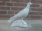 Duif betonnen beeld tuinbeeld beton, Ophalen of Verzenden, Nieuw