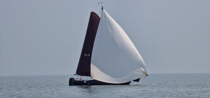 Lemsteraak / Vissermanaak / platbodem, Watersport en Boten, Platbodems, Zo goed als nieuw, 12 meter of meer, Staal, Diesel, Ophalen