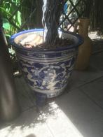 GROTE CHINESE POT MET KUNST PLANT, Ophalen, Zo goed als nieuw, Binnen