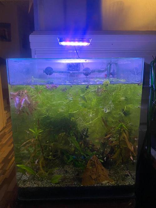 Aqua Della Urbyss Q3 50 liter volglas nano aquarium, Dieren en Toebehoren, Vissen | Aquaria en Toebehoren, Zo goed als nieuw, Leeg aquarium