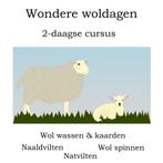 2-daagse cursus kaarden, spinnen, natvilten en droogvilten, Ophalen, Niet van toepassing, Nieuw, Diverse auteurs