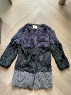 Luxe lichte bontjasje van Max & Moi - S, Kleding | Dames, Jassen | Winter, Max & Moi, Paars, Nieuw, Ophalen of Verzenden