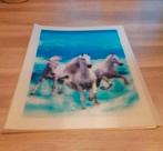 Map met insteekhoesjes - Nieuw!, Ophalen of Verzenden, Nieuw