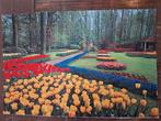 Lisse - Keukenhof, Ophalen of Verzenden, Gelopen, Zuid-Holland
