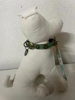 Dwam rebel xs, Dieren en Toebehoren, Ophalen, Dwam, ?, Nieuw