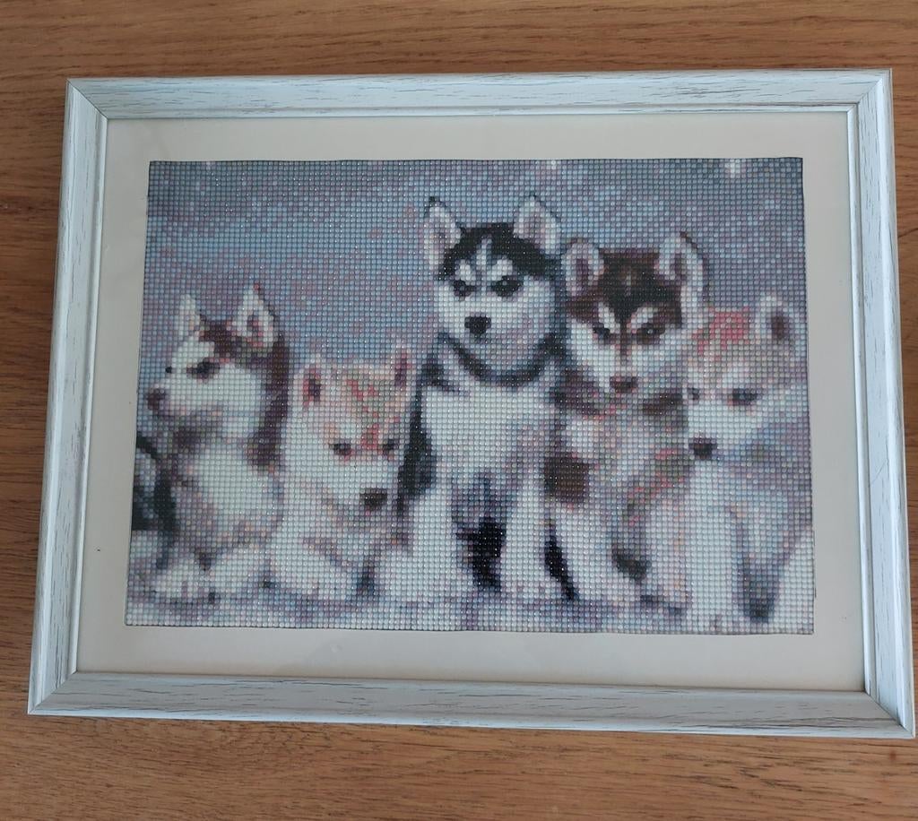 Gemaakte Diamant Painting, Husky pups, Ophalen, Minder dan 50 cm, Overige typen, Zo goed als nieuw