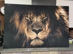 Schilderij leeuw, Ophalen, 125 cm of meer, Zo goed als nieuw, Schilderij
