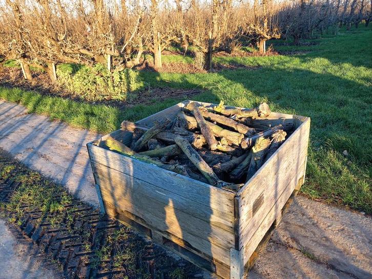 Appelhout, stookhout, haardhout, 2 jaar gedroogd, incl. krat, Tuin en Terras, Haardhout, Stammen, Overige houtsoorten, Minder dan 3 m³