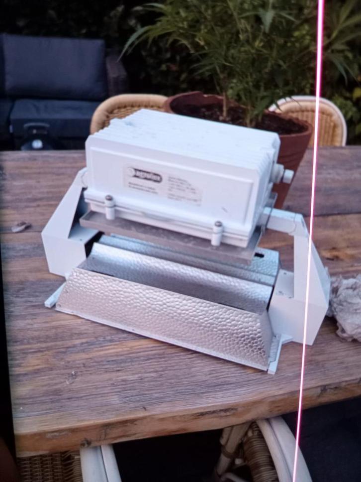 Kweekspullen 50st 100watt afzuigkisten, potten, schakelkast, Tuin en Terras, Kweekspullen, Zo goed als nieuw, Kweeklamp, Ophalen of Verzenden