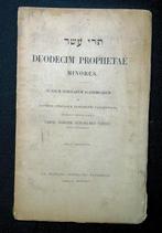 Duodecim Prophetae Minores 1851 Theile - Hebreeuws, Ophalen of Verzenden