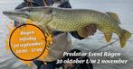 Fly Supply - Predator Event Rügen 2025 - Infodag 20-09-'25, Ophalen of Verzenden, Nieuw, Overige typen