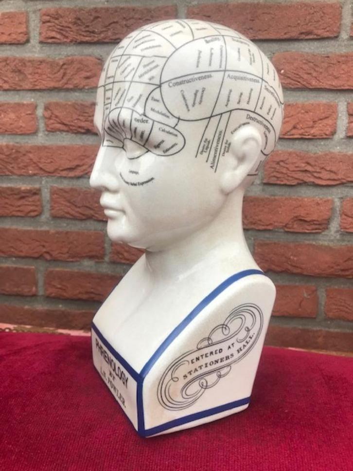 porseleinen studiemodel, frenologie, Antiek en Kunst, Curiosa en Brocante, Ophalen of Verzenden