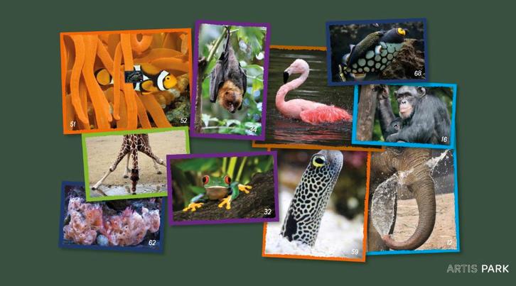 Deka artis stickers, Verzamelen, Supermarktacties, Albert Heijn, Ophalen of Verzenden