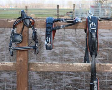 Te koop zwart met bruin onderlegd mini shetlander mentuig

 beschikbaar voor biedingen