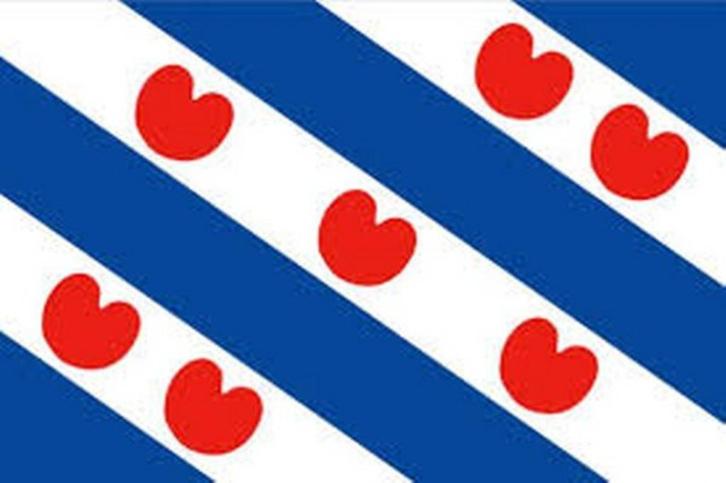 Friesland: Geschiedenis - Literatuur - Romans etc. C t/m E, Boeken, Geschiedenis | Stad en Regio, Zo goed als nieuw, Ophalen