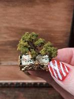 Miniatuur bonsai, schaal 1:12, Verzamelen, Poppenhuizen en Toebehoren, Nieuw, Decoratie, Ophalen of Verzenden