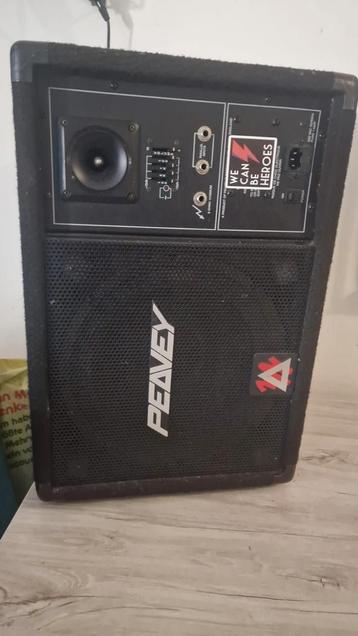 Peavey Versterker/monitor beschikbaar voor biedingen