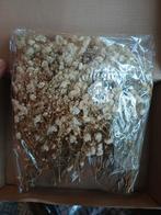 Gedroogd gipskruid, Ophalen of Verzenden, Nieuw, Binnen