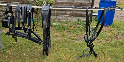 Mentuig full lak leder, Dieren en Toebehoren, Paarden en Pony's | Hoofdstellen en Tuigage, Gebruikt, Overige soorten, Ophalen