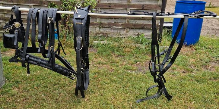 Mentuig full lak leder, Dieren en Toebehoren, Paarden en Pony's | Hoofdstellen en Tuigage, Gebruikt, Overige soorten, Ophalen
