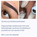 Permanente wenkbrauwen, Ophalen of Verzenden, Zo goed als nieuw, Handen en Nagels