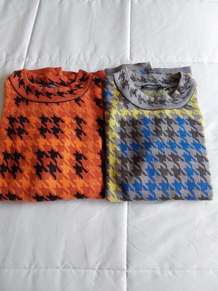 Roberto Sarto truien maat 42., Kleding | Dames, Truien en Vesten, Zo goed als nieuw, Maat 42/44 (L), Ophalen of Verzenden