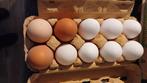 eieren, Diversen, Ophalen