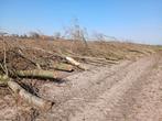 Haardhout, Tuin en Terras, Haardhout, Ophalen, Overige houtsoorten, Blokken