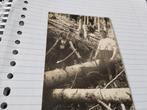 Fotoansicht van houthakkers in Tirol details zie Foto's, Antiek en Kunst, Ophalen of Verzenden