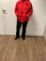 INQ lekker dikke donsjas rood mt.S met afneembare capuchon, Kleding | Dames, Ophalen of Verzenden, Zo goed als nieuw, Maat 36 (S)