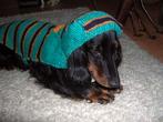 Gestreepte hondenjas met capuchon, Ophalen of Verzenden, Nieuw, Hondenjas