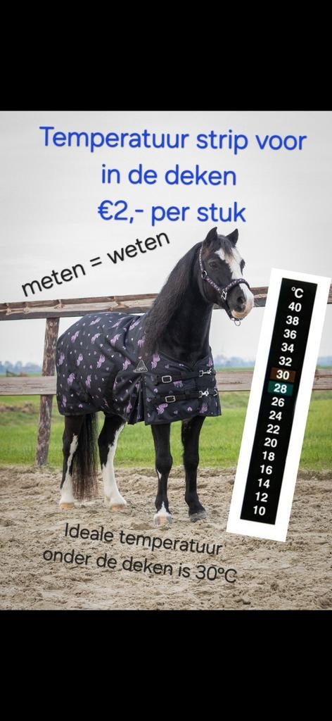 Temperatuur strip - Thermometer strip, Ophalen, Nieuw, Overige soorten
