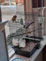 Vogelkooi, Dieren en Toebehoren, Ophalen, Gebruikt, Overige materialen, Vogelkooi