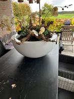 Kunststof plantenbak wit met zijde achtige orchideeën 70 cm, Huis en Inrichting, Ophalen, Zo goed als nieuw
