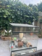 Terrarium dieren, Dieren en Toebehoren, Reptielen en Amfibieën | Toebehoren, Ophalen, Zo goed als nieuw