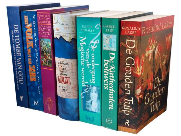 historische romans (Middeleeuwen, prehistorie), Boeken, Historische romans, Zo goed als nieuw, Ophalen of Verzenden