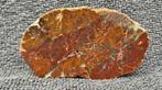 Medium size Jasp-Agaat uit Arcen, Nederland, Verzamelen, Mineralen en Fossielen, Ophalen of Verzenden