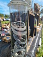 Zwarte mamba op sterk water, taxidermie, Verzamelen, Dierenverzamelingen, Ophalen of Verzenden, Zo goed als nieuw, Reptiel of Amfibie