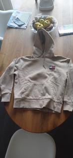 Tommy Hilfiger Trui Maat XS, Ophalen of Verzenden, Gedragen, Maat 46 (S) of kleiner, Beige