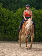 Gezellige bijrijder met ervaring