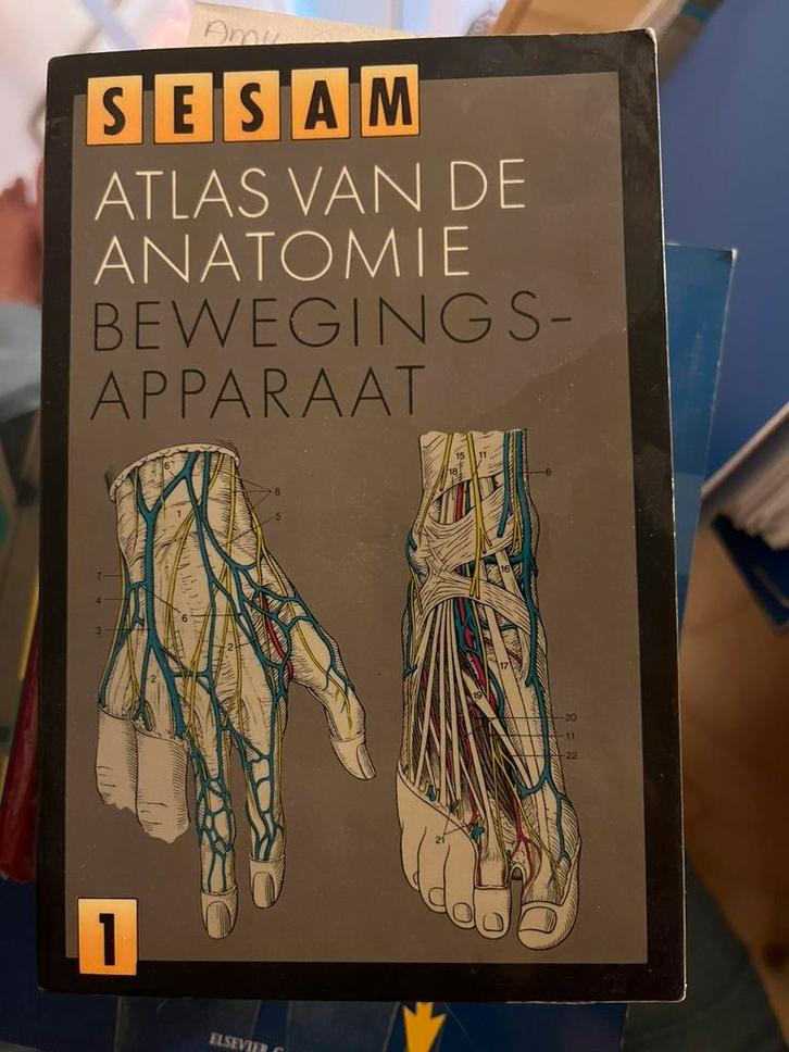 Sesam Atlas van de anatomie deel 1 en 3, Boeken, Studieboeken en Cursussen, Zo goed als nieuw, HBO, Beta, Ophalen of Verzenden