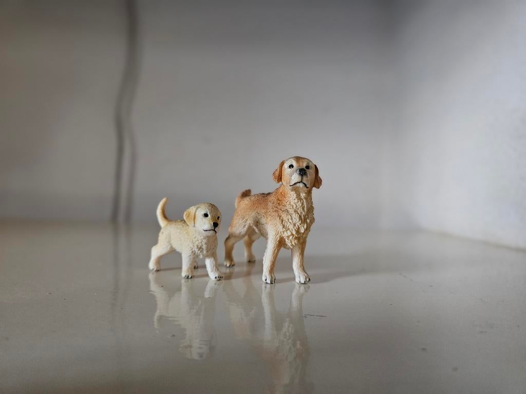 Schleich honden golden retriever, Ophalen