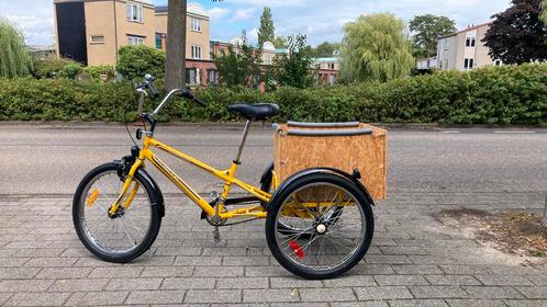 Honden bakfiets Mission Industrial trike, Fietsen en Brommers, Fietsen | Driewielfietsen, Zo goed als nieuw, Ophalen