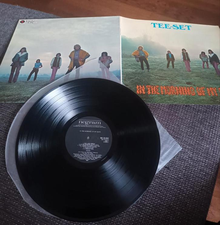 Tee Set - In the morning of my days 1970/gatefold VG+, Cd's en Dvd's, Vinyl | Rock, Gebruikt, Poprock, Overige formaten, Ophalen of Verzenden