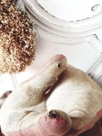 Antieke  mopshond, Antiek en Kunst, Ophalen of Verzenden