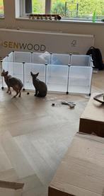 Kitten playpen, werphok, werpkist, ren, Ophalen of Verzenden, Zo goed als nieuw